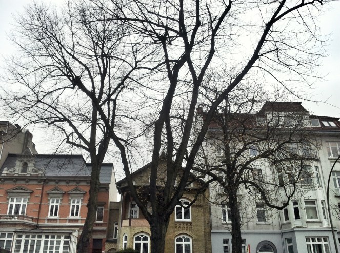 Gus and Ollie Hamburg