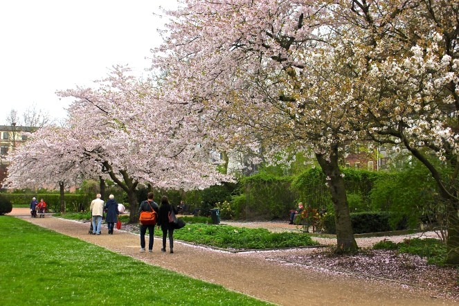 Gus and Ollie Hamburg