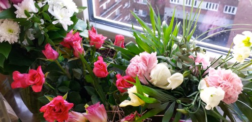 flowers gus and ollie handmade hamburg germany