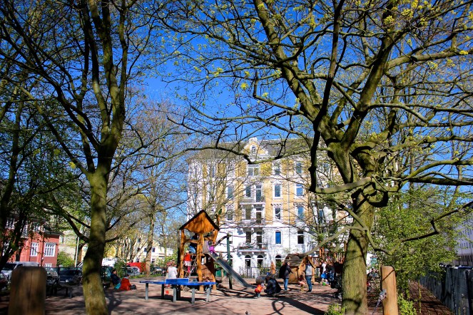 My ride home - Gus and Ollie, Hamburg, germany, handmade, sock monkey, atelier e-37, ottensen, altona, spring time, blossom trees, grateful, sunshine, blue skies.