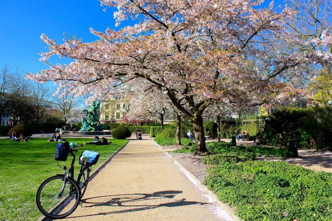 My ride home - Gus and Ollie, Hamburg