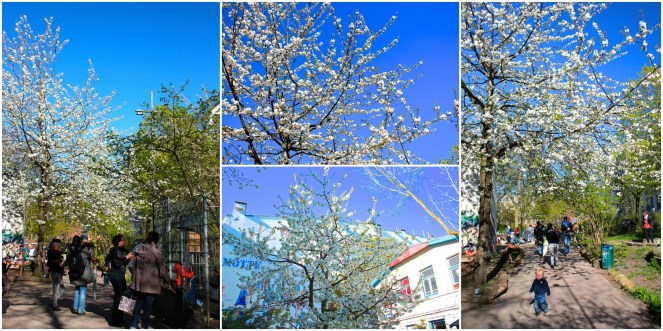 My ride home - Gus and Ollie, Hamburg