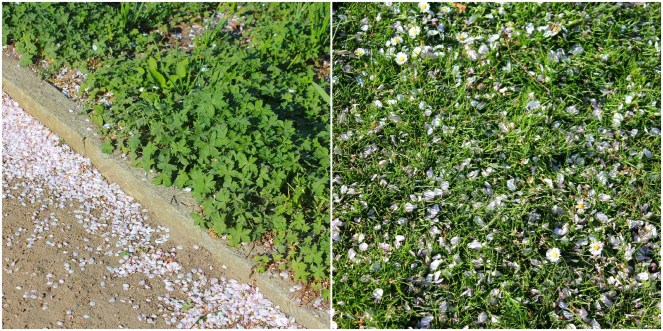 My ride home - Gus and Ollie, Hamburg