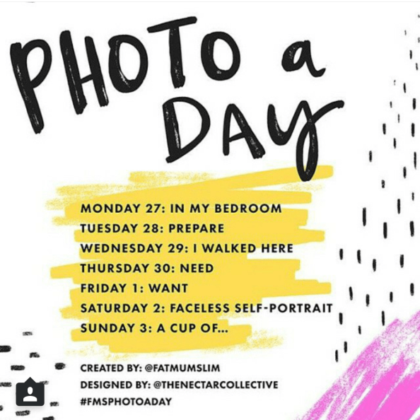 My ride home - Gus and Ollie, Hamburg, germany, handmade, sock monkey, atelier e-37, ottensen, altona, spring time, blossom trees, grateful, sunshine, blue skies.