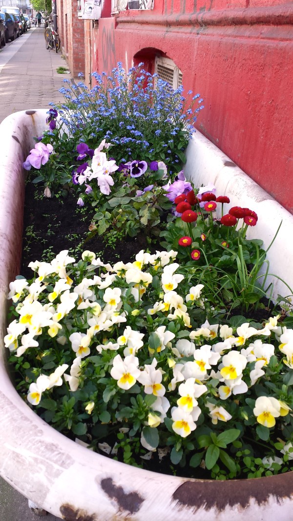 Bath of Flowers by Gus and Ollie