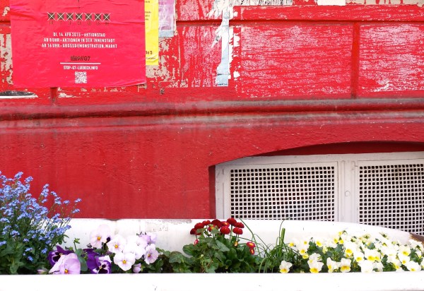 Bath of Flowers by Gus and Ollie