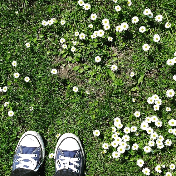 Cricket and Chucks, hamburg, germany, gus and ollie