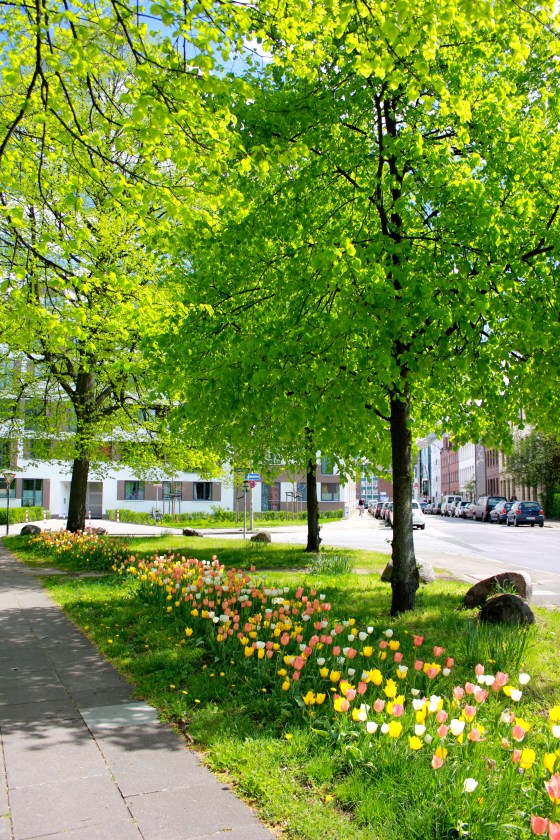 gus and ollie, handmade in hamburg, Germany, baby, instagram, sock monkey