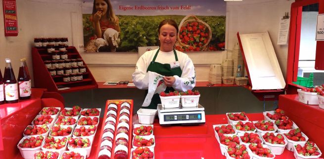Strawberry Season, gus and ollie, hamburg, germany