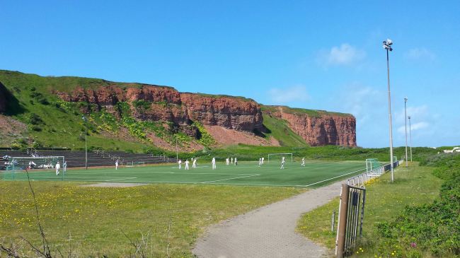 Bunte Kuh Collage, Helgoland, Hamburg, Germany, Heligoland Pilgrims, Cricket, Gus and Ollie 