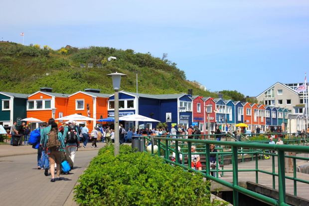 Bunte Kuh Collage, Helgoland, Hamburg, Germany, Heligoland Pilgrims, Cricket, Gus and Ollie