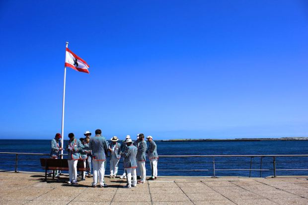Bunte Kuh Collage, Helgoland, Hamburg, Germany, Heligoland Pilgrims, Cricket, Gus and Ollie