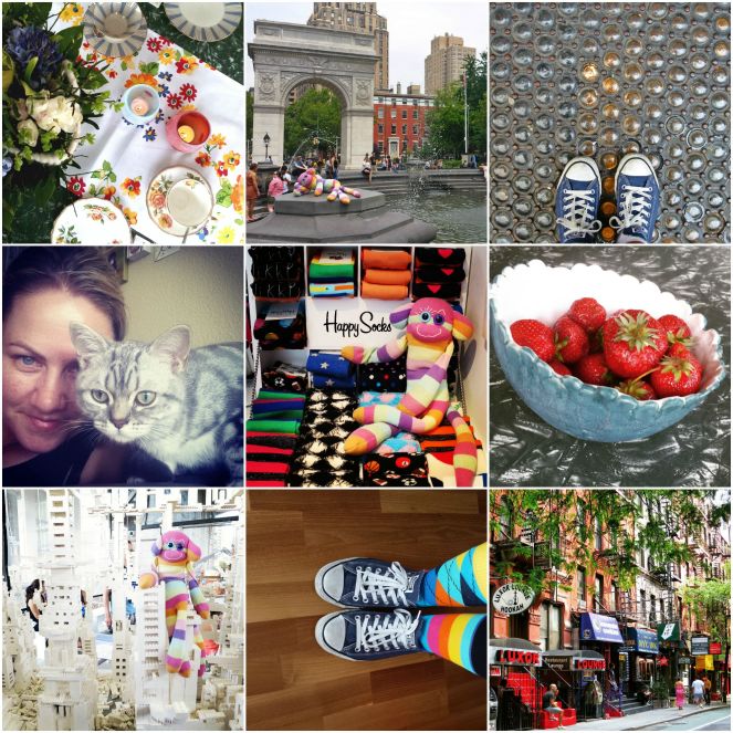 Instagram, round up, july, hamburg, germany, gus and ollie, sock monkey, sock game, photography, socks, cat, kitten, british shorthair, expat, travel, abrouad, new york. 